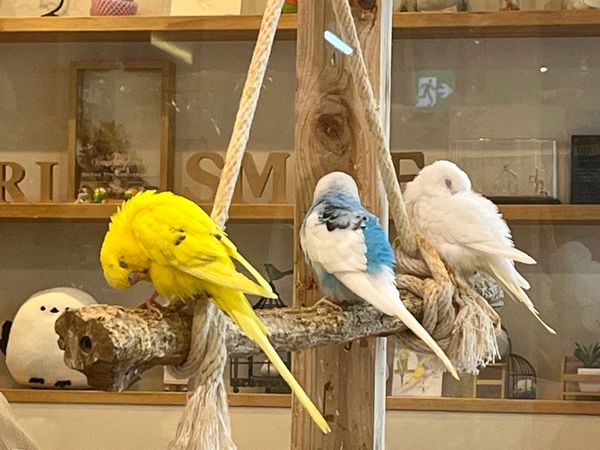 日本・大阪府「大阪旅行」の写真