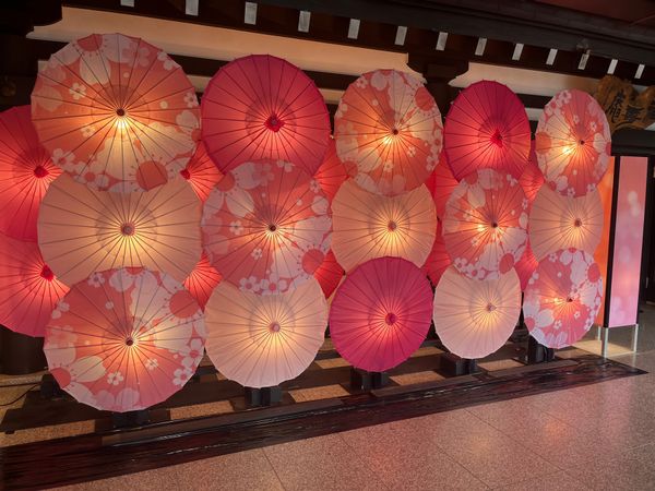 日本・静岡県「掛川旅行」の写真