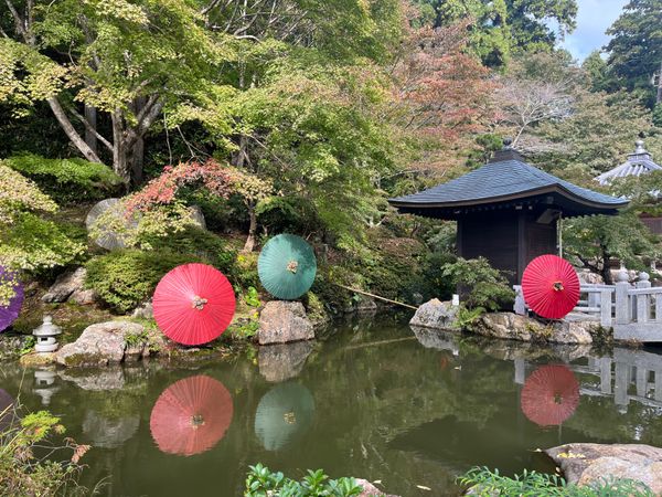 日本・静岡県「掛川旅行」の写真