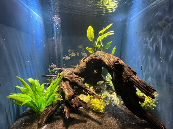 日本・静岡市「静岡駅」の写真