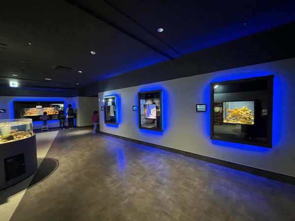 日本・静岡市「静岡駅」の写真