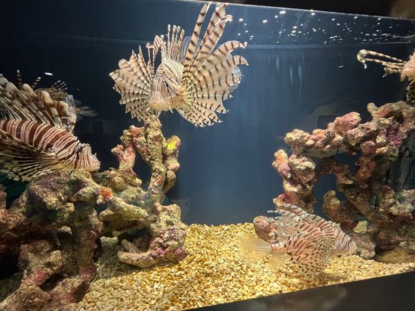 日本・静岡市「静岡駅」の写真