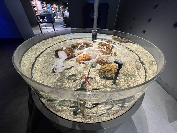 日本・静岡市「静岡駅」の写真