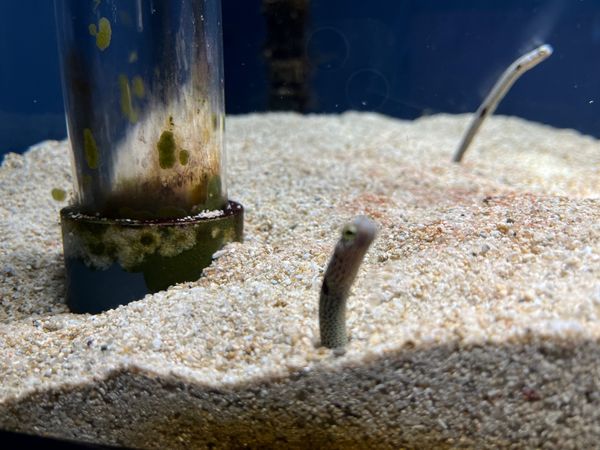 日本・静岡市「静岡駅」の写真