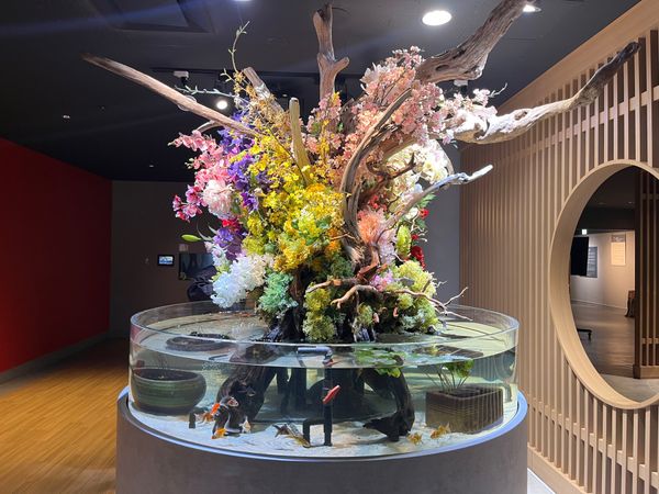 日本・静岡市「静岡駅」の写真