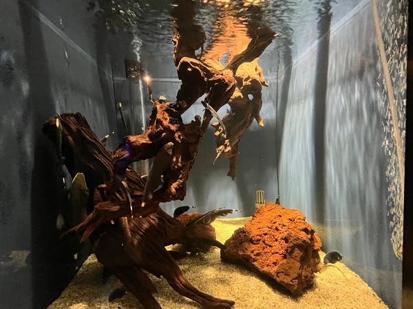 日本・静岡市「静岡駅」の写真