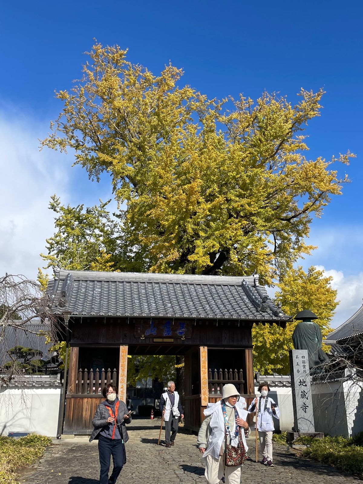 イチョウやモミジが、きれいだし大銀杏はでか〜い