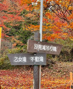 左足を渓流に浸けながら写真を撮りました⁉️ 

不動滝・乙女滝編❣️

茨...