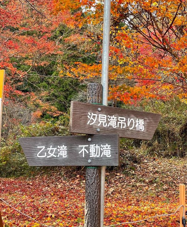 日本・茨城県「吊橋と滝と紅葉🍁を見に行きました。」の写真：左足を渓流に浸けながら写真を撮りました⁉...