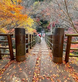 吊橋と紅葉🍁が綺麗でした❣️