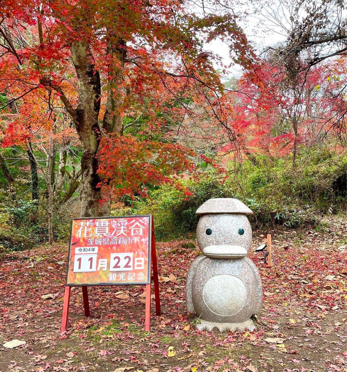 吊橋と紅葉🍁が綺麗でした❣️