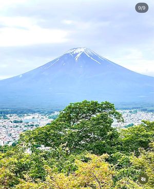 五重の塔と富士山🗻のコラボに感激❣️

遂に念願の雄大な富士山🗻と五重塔の...