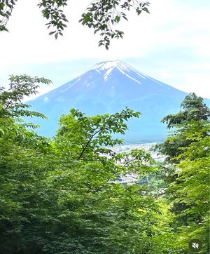 五重の塔と富士山🗻のコラボに感激❣️

遂に念願の雄大な富士山🗻と五重塔の...