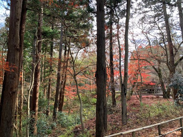 日本・岩手県「一ノ関　中尊寺・毛越寺」の写真