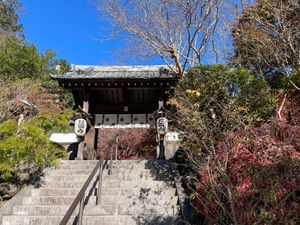 天園ハイキングコースを途中で降りて覚園寺に。ここの紅葉も素晴らしいのですが...