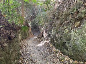 建長寺から天園ハイキングコースに向かいます