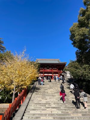 鎌倉といえばやっぱり鶴岡八幡宮は外せない。