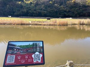 鎌倉宮近くの永福寺跡へ。池にはカルガモがいました。