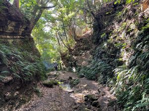 永福寺跡から再びハイキングコースに戻り、獅子舞谷の紅葉を見ました。