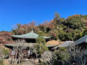 天園ハイキングコースの終点近くにある瑞泉寺