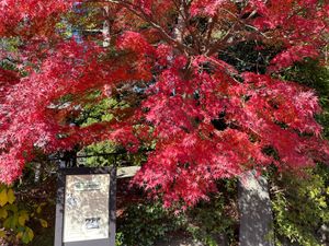 覚園寺から鎌倉宮へ