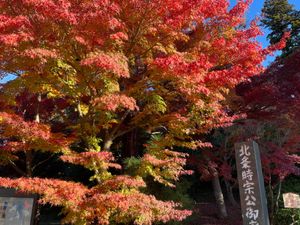 北鎌倉駅近くの円覚寺。ここは門前の紅葉が美しい。