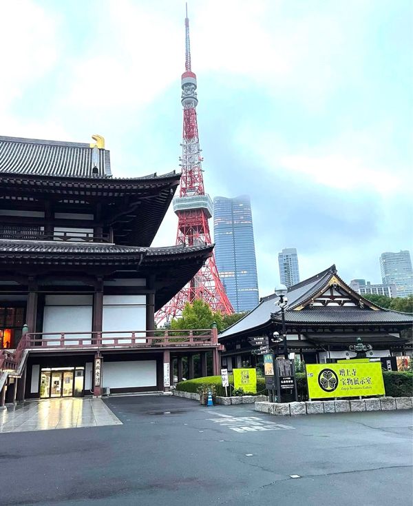 日本・東京都「増上寺と東京タワー🗼」の写真：増上寺と東京タワー🗼を同時に見ました❣️