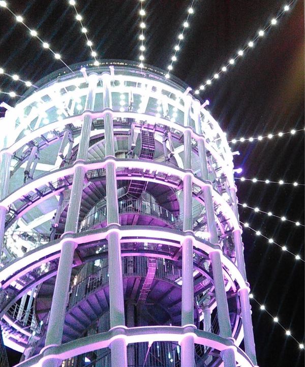 日本・神奈川県「江ノ島で湘南の宝石を見に行きました❣️」の写真：江ノ島でイルミネーション🕯️とチューリップ🌷