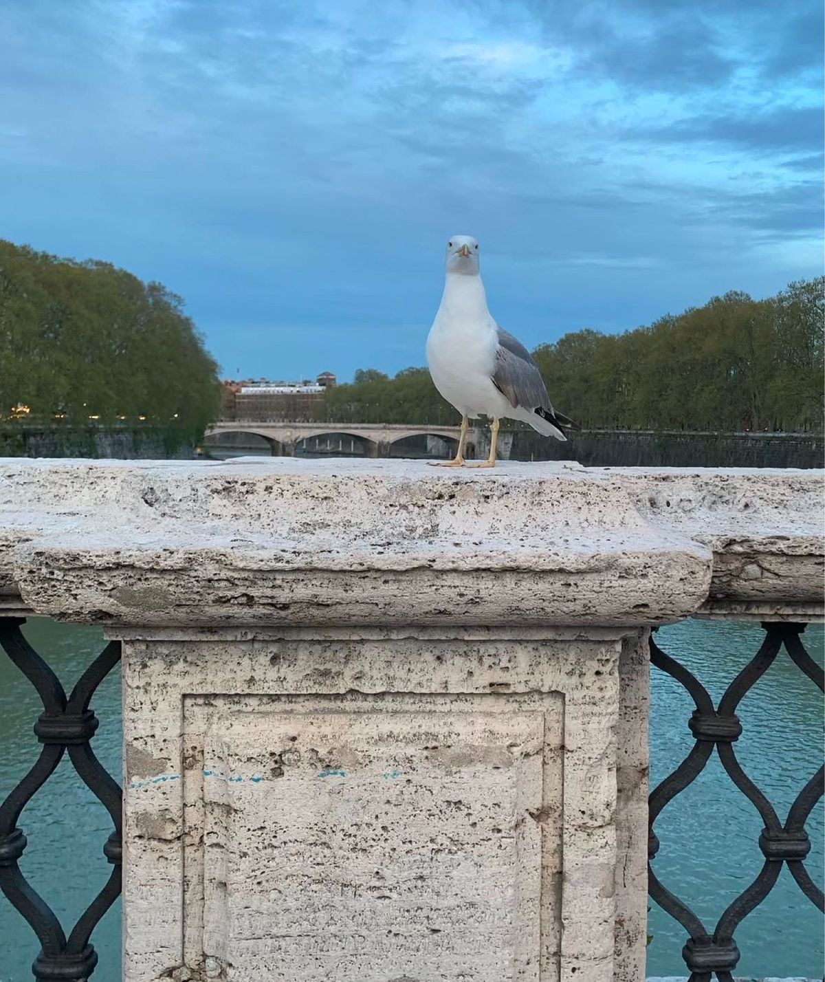 ペストを終息したサンタンジェロ城に行って来ました。❣️
サンタンジェロ城の...