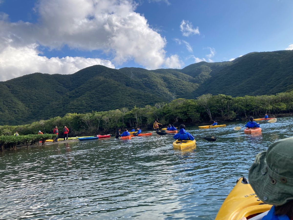 奄美大島のマングローブカヌーをしてきました。ガイドさんの丁寧な説明とても良...