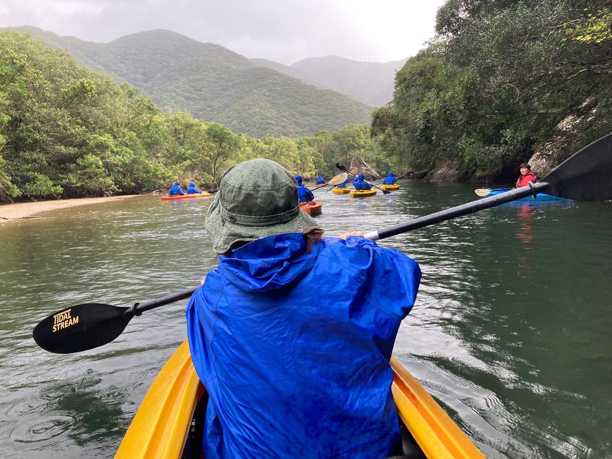 奄美大島のマングローブカヌーをしてきました。ガイドさんの丁寧な説明とても良...