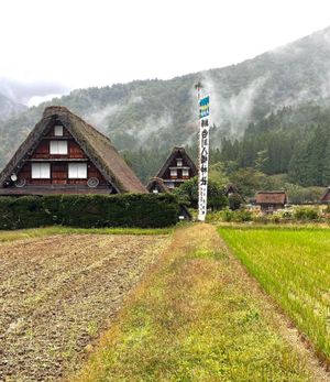 雨でもGO‼️白川郷‼️
白川郷で合掌造りの集落を見て来ました❣️
岐阜県...