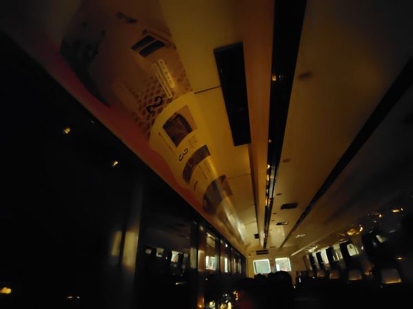 日本・静岡県「伊豆急行ペールエール列車」の写真