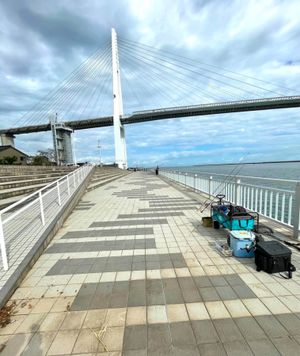 新湊大橋が良く見える開港記念碑緑地広場に行きました❣️

富山県射水市にあ...