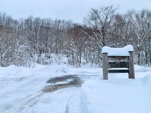 【鶴の湯別館山の宿】
乳頭温泉郷にある七宿、七湯の一つ鶴の湯温泉の別館
鶴...