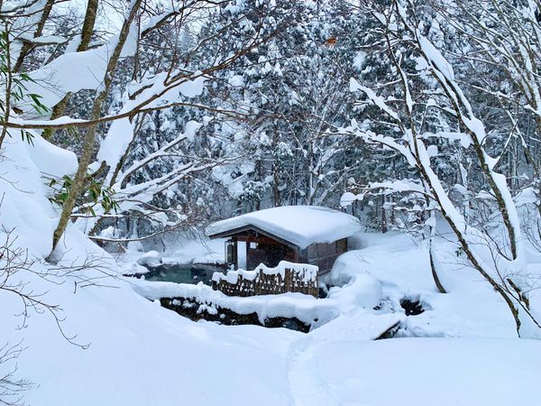 日本・乳頭温泉「🇯🇵【秋田】乳頭温泉郷湯めぐり」の写真：【蟹場温泉】
宿から50mほど離れた原生...