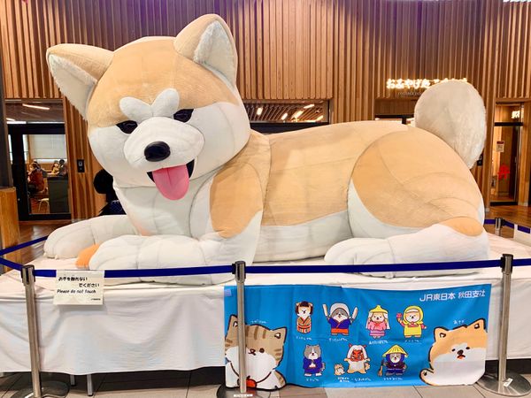 日本・乳頭温泉「🇯🇵【秋田】乳頭温泉郷湯めぐり」の写真：【秋田駅】
秋田のメインステーション
秋...