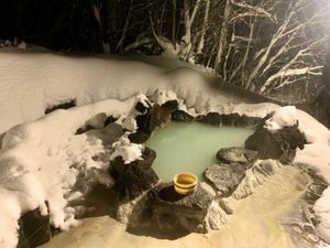 【鶴の湯別館山の宿】
夜の貸切露天風呂