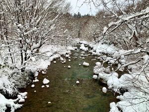 【乳頭温泉郷】
乳頭温泉郷を横断している先達川の冬景色
山の宿の近くの橋上...