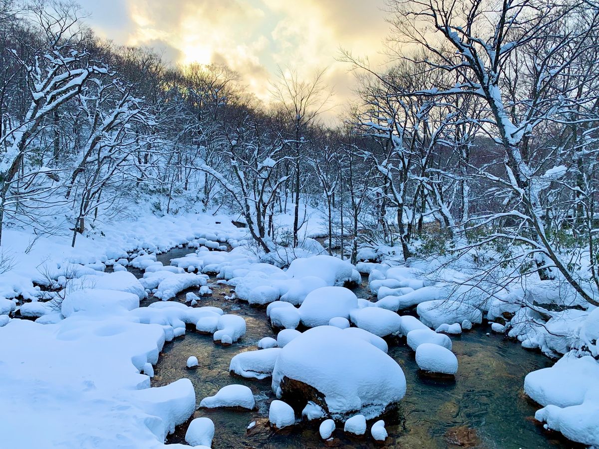 【妙乃湯】
お気に入りの先達川沿いの部屋