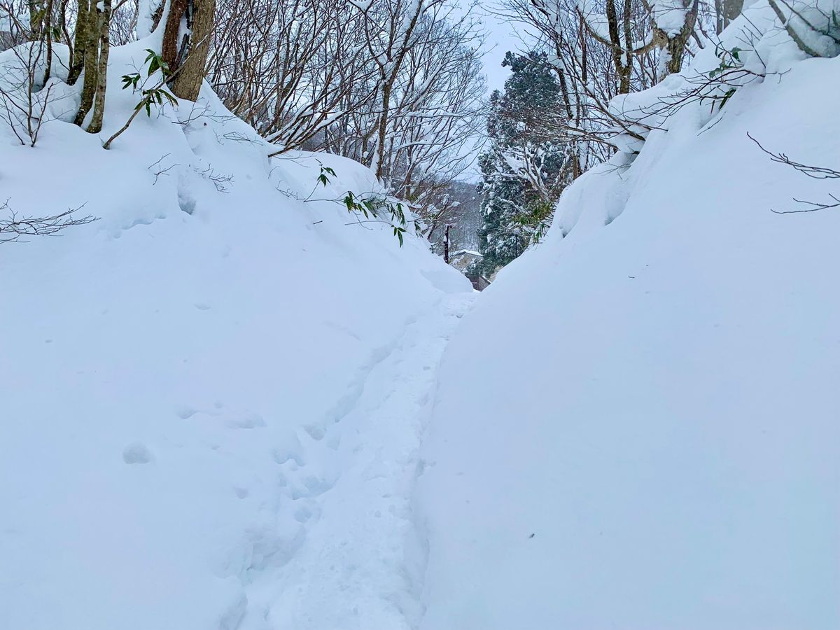 【蟹場温泉】
宿から50mほど離れた原生林の中にある混浴露天風呂
秘湯と言...