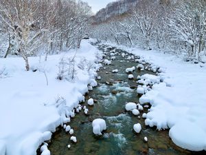 【乳頭温泉郷】
乳頭温泉郷を横断している先達川の冬景色
山の宿の近くの橋上...