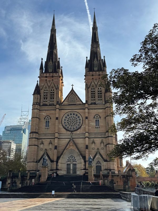 オーストラリア連邦・シドニー「シドニー　オペラハウス」の写真：シドニー
●セント・メアリー大聖堂
●シ...