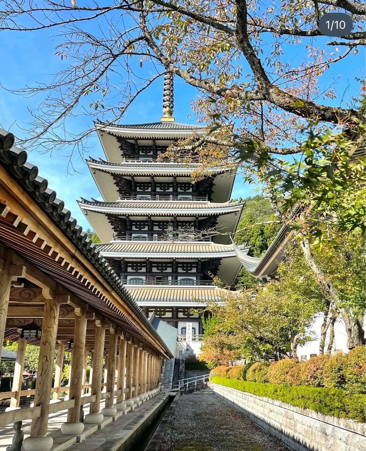 遂に五重の塔から勝山市を一望しました❣️パート3
越前大仏五重の塔編❣️
...