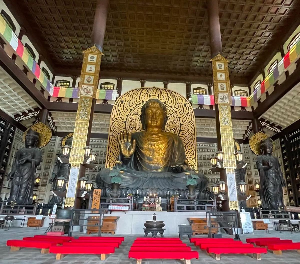 壮大で神秘的で圧倒的なスケールの大仏殿❣️パート2

福井県勝山市にある大...