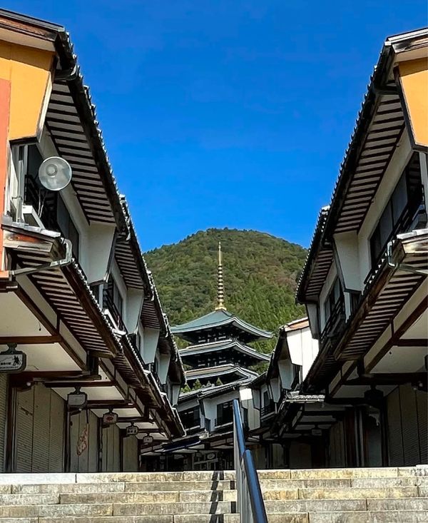 日本・福井県「車🚙で行く越前の旅」の写真：こんなすごい寺院が勝山に❣️パート1
門...