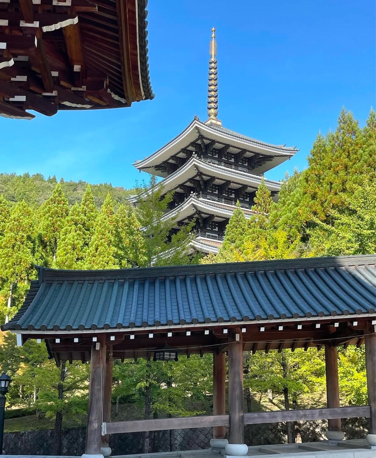 こんなすごい寺院が勝山に❣️パート1
門前町、大門、中門編❣️

福井県勝...