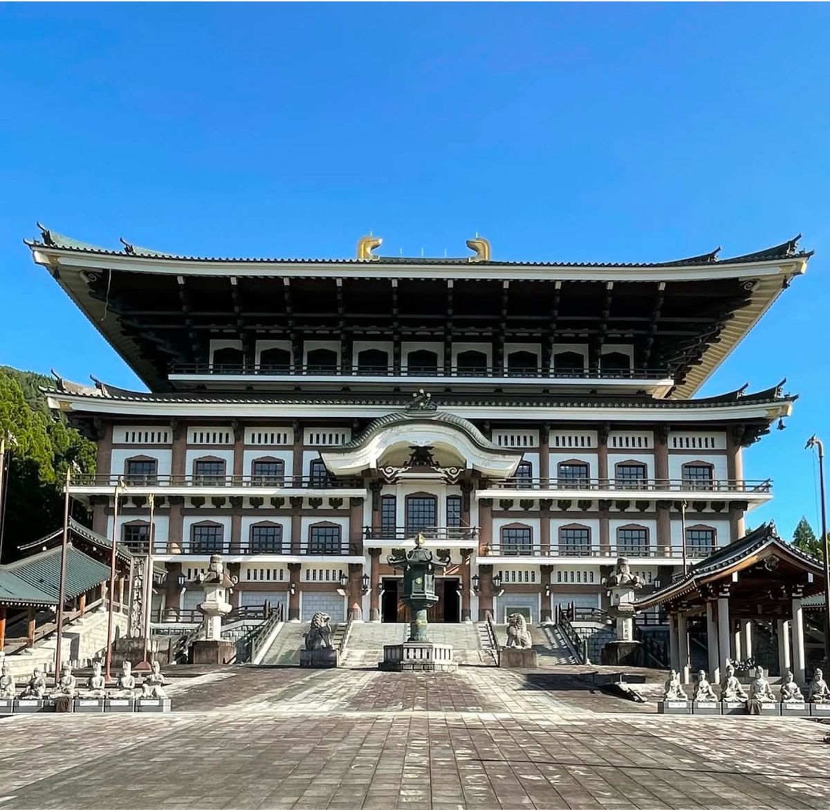 壮大で神秘的で圧倒的なスケールの大仏殿❣️パート2

福井県勝山市にある大...