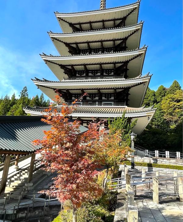 日本・福井県「車🚙で行く越前の旅」の写真：遂に五重の塔から勝山市を一望しました❣️...