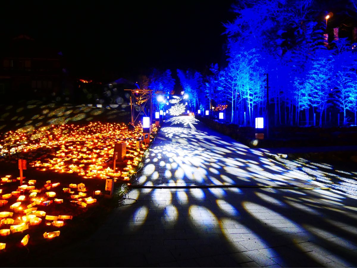 音信川うたあかり2025